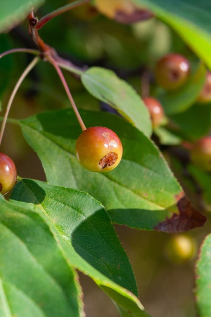 年轻球员投 年轻球员投