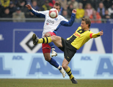 毛球界增添 毛球界增添