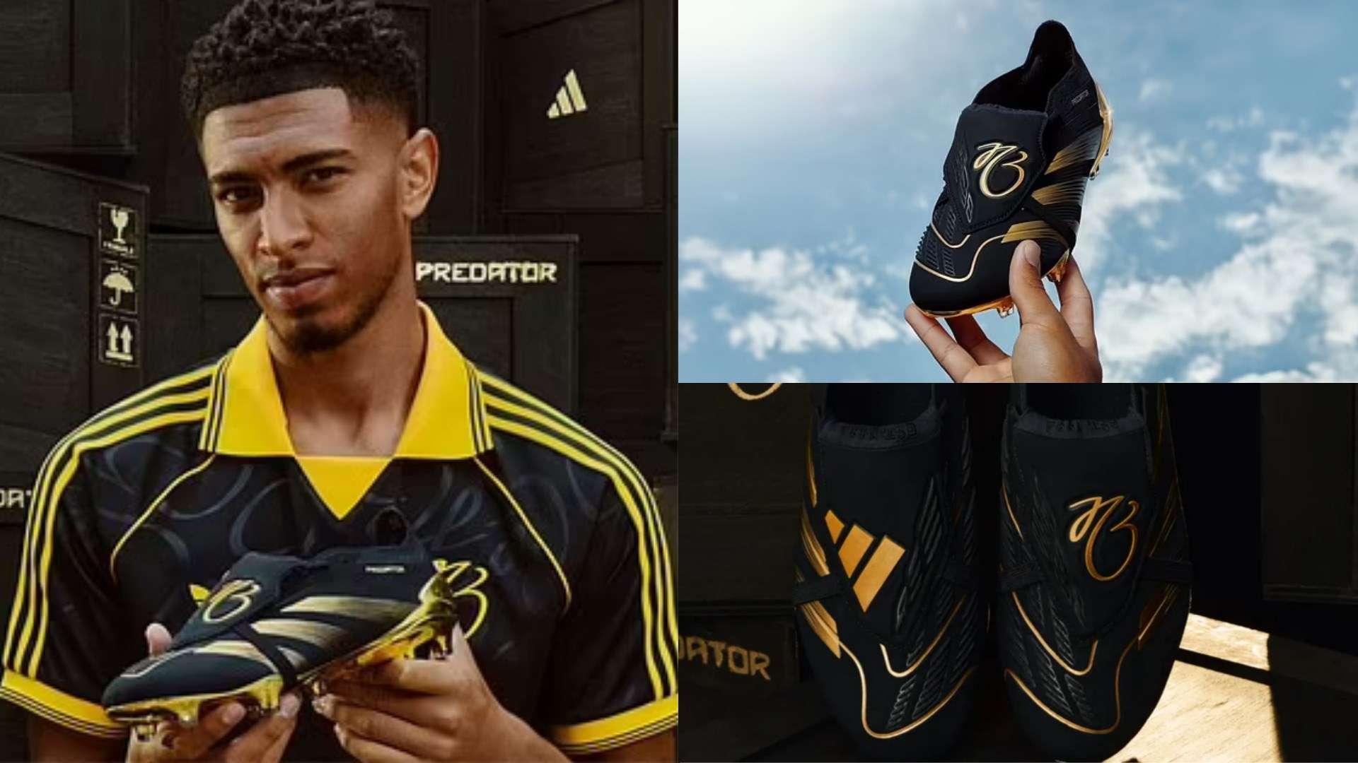 赵睿回归广 赵睿回归广